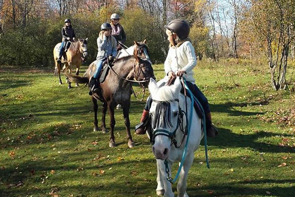 Centre équestre Pegasus à Ulverton