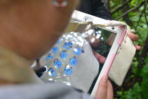 chasse-au-tresor-Camping-Melbourne-Estrie-3