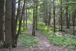 Camping Melbourne Estrie